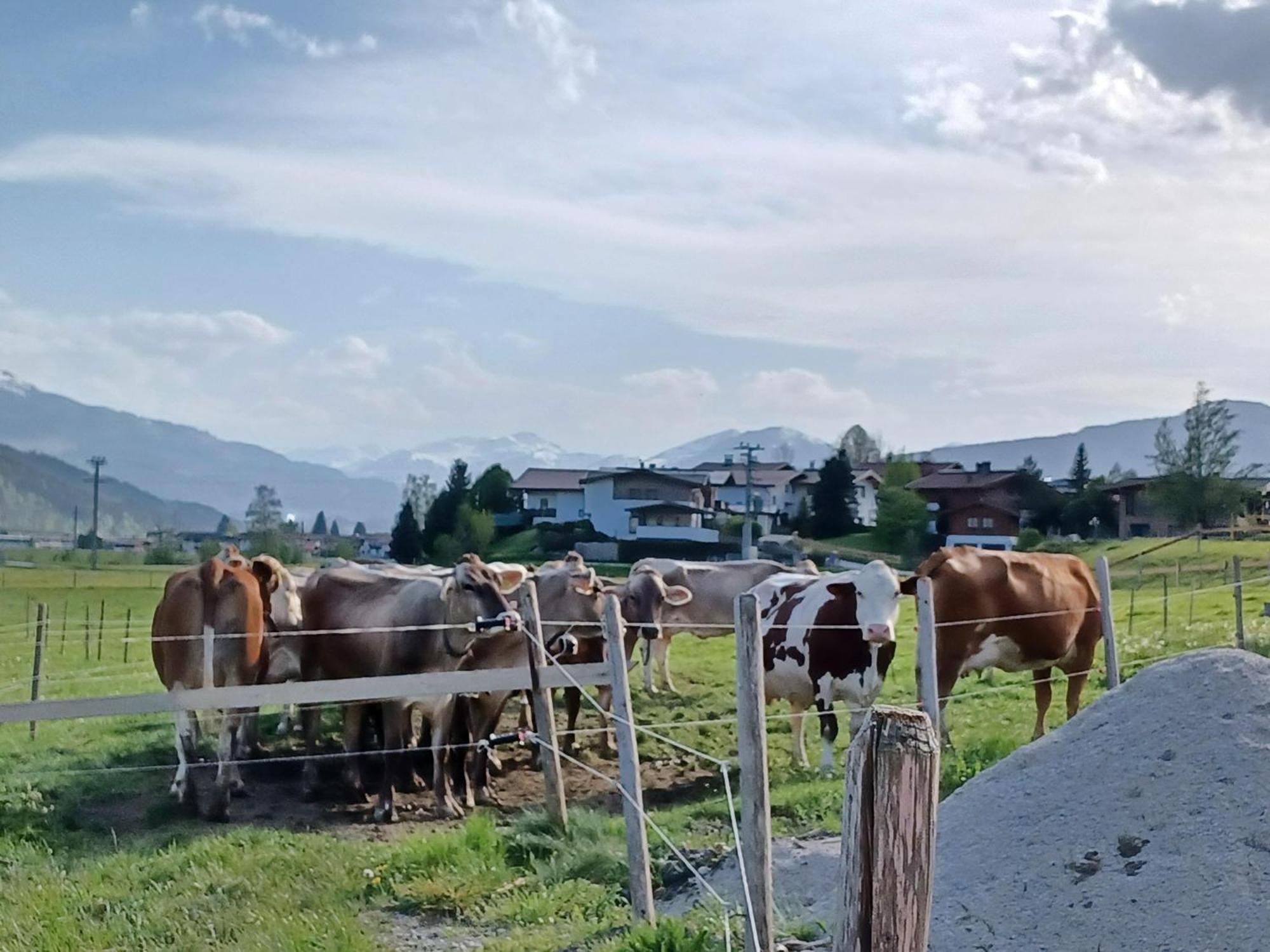Lampererhof Villa Sankt Johann in Tirol Exterior photo