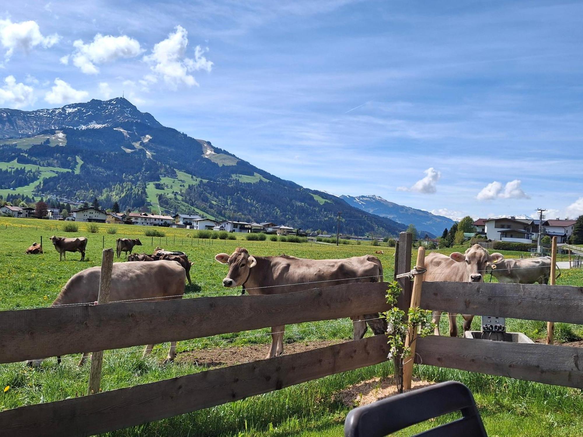 Lampererhof Villa Sankt Johann in Tirol Exterior photo