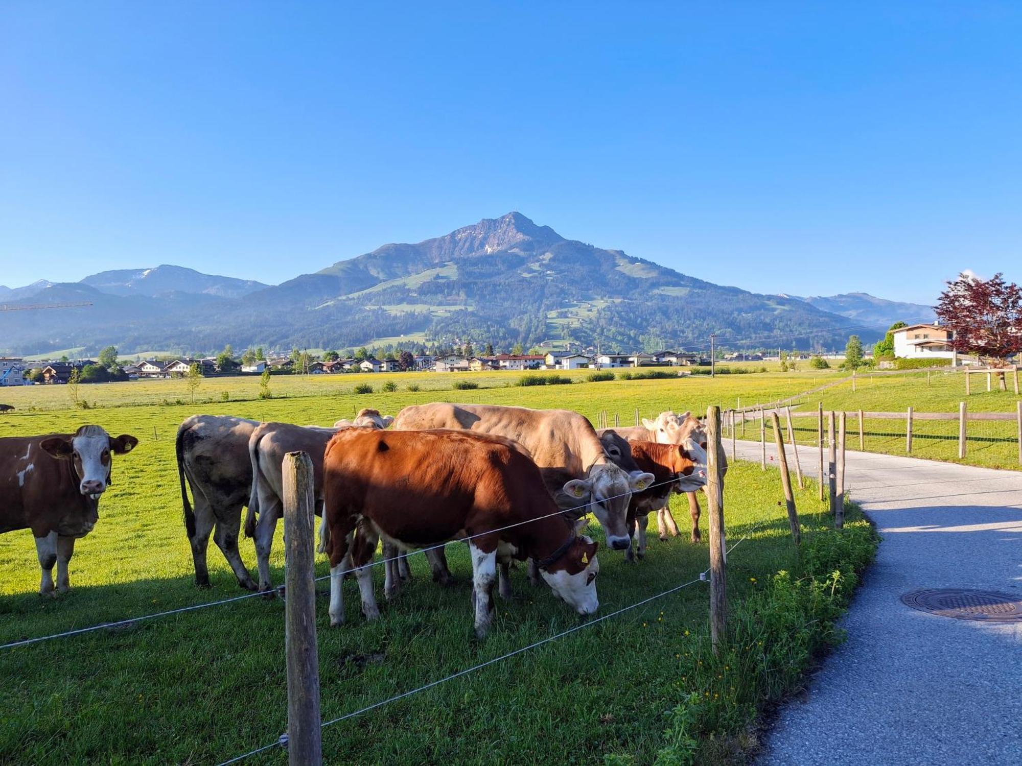 Lampererhof Villa Sankt Johann in Tirol Exterior photo